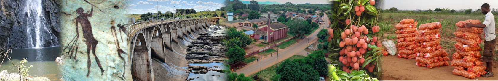 PRODUÇÃO E PROCESSAMENT O DE CAFÉ